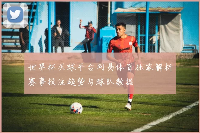 世界杯买球平台网易体育独家解析赛事投注趋势与球队数据