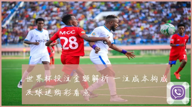 世界杯投注金额解析 一注成本构成及球迷购彩看点