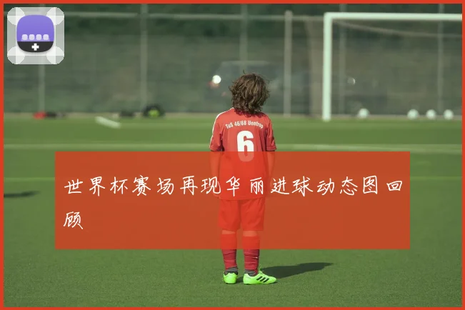 世界杯赛场再现华丽进球动态图回顾