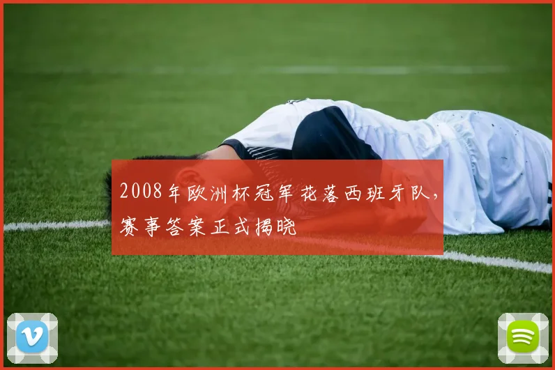 2008年欧洲杯冠军花落西班牙队,赛事答案正式揭晓